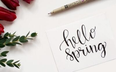 Your Home: Spring Cleaning or Spring Organizing?