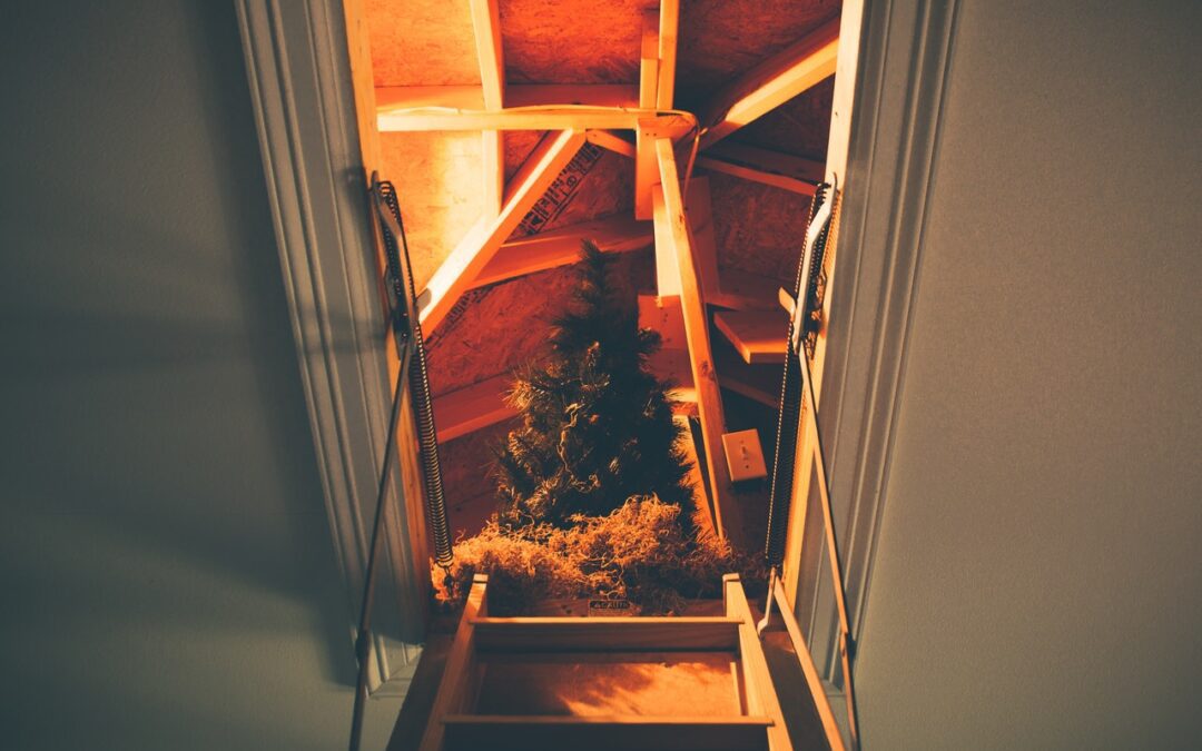 Fir tree in the attic seen from the ladder leading towards it.