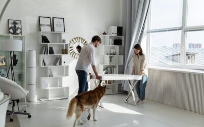 7 Home Organization Tips for Pet Owners